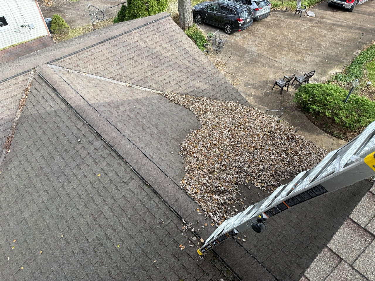Roof Debris Removal Before (1) Large